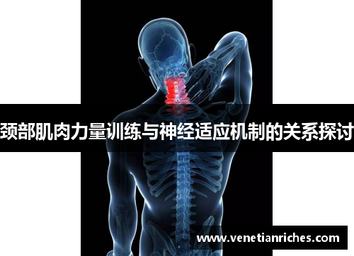 颈部肌肉力量训练与神经适应机制的关系探讨